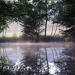 Gmöser Moor