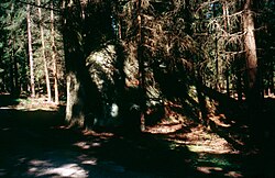 Kasiger Loa (Käsleib)