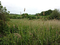 Feuchtgebiet Roßweide