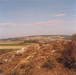 "Galgenberg" Trockenrasenflächen