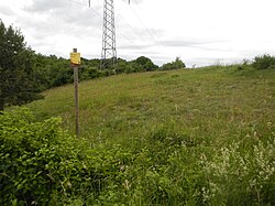 Trockenrasen in Leobersdorf