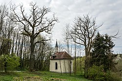 2 Eichen bei der Werndlkapelle