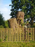 1 Lindenbaum