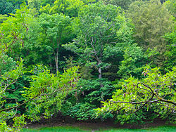 Nationalpark Kellerwald-Edersee (Hessen)