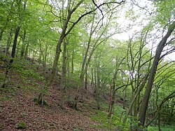 Gochelberg – Toter Berg