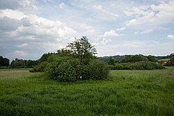 Totarmbereich des Gleinzbaches