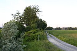 Teile des Saubaches samt Uferstreifen