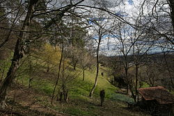 Biotopschutzgebiet Bullmanngrund