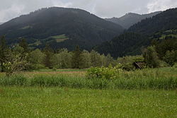 Teile des Edlacher Moores