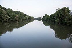 Gebiet zwischen Murbrücke in Bachsdorf und dem Murkraftwerk Gralla