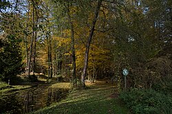 Auwaldrest in der KG Herbersdorf