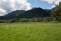 Nordöstlicher Teil des Wörschacher Moores