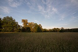 Raabaltarme „Schiefer – Hohenbrug“