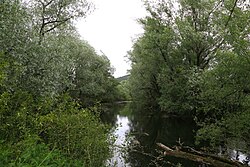 Drei Sulmaltarme im Heimschuh