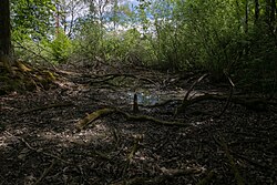 Kettischgründe in Lannach