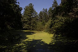 Teilbereiche des ehemaligen Lehmabbaugeländes in Unterpremstätten