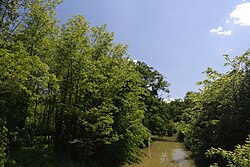 Schilfgürtel Werndorf