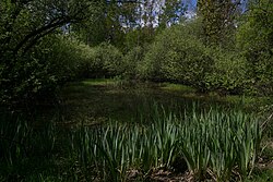 Ziegelteichgelände in Weinzettl