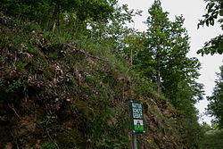 Trockenbiotop am Steinbruch „Klausen“