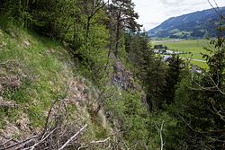 Felstrockenrasen am „Neusiedler Ofen“ KG Lassing