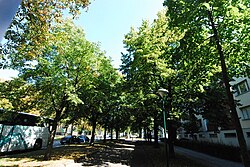 Schönbrunner Allee