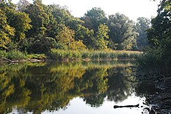 Mauthner-Krebsenwasser