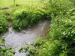 Pulvermühlbach in Linz/Urfahr