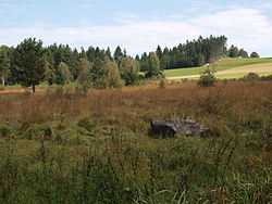 Bumau