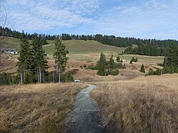 Wanderweg durch das Kojen-Moos