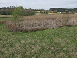 Zugvogelschutzgebiet KG Leitersdorf