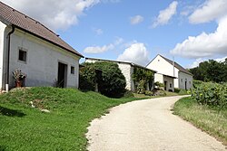 Kalkgrube in Niederleis (Niederleis)