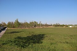 Feuchtgebiet „Welsche Halten“ Niedermoor in Ebreichsdorf