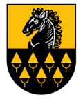 Niedernsill