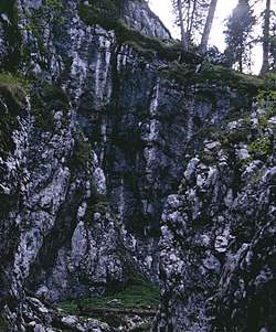 'Obere und untere Notgasse' und 'Riesgasse'
