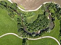 Mäander bei Nußbach/Wartberg