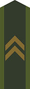 Schweden&nbsp;Schweden Korpral, OR-4, Heer