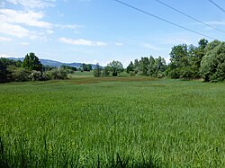 Teilgebiet Obere Mähder