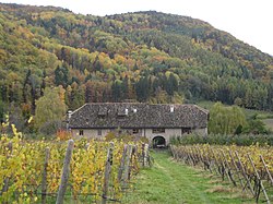 Oberhabsberger in Montiggl