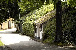 Kellergasse Sandweg in Obermarkersdorf (Schrattenthal)