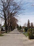 Ottakringer Friedhof