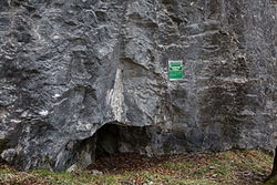 Percohöhle