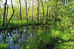 Petschnigteich und Umgebung