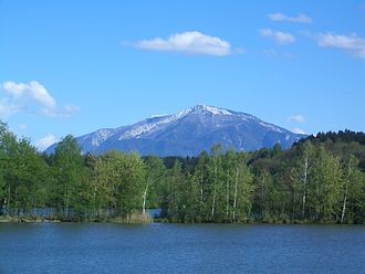 Petzen vom Völkermarkter Stausee