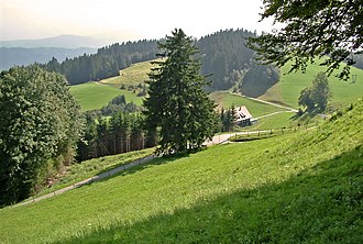 Auf dem Pfänder