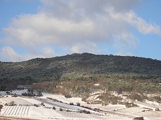 Pfaffstättner Kogel, gesehen aus Süd-Osten aus den Pfaffstättner Weinbergen