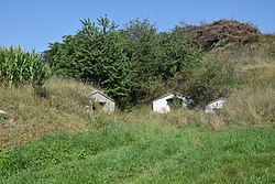 Richtung Roggenbauerkreuz in Pleißing (Hardegg (Niederösterreich))