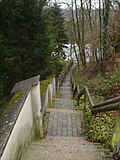 Puchheimer Au