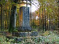Bei Baierbrunn in Buchenhain