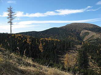 Rappoldkogel von Osten