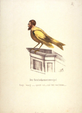 Gustav Adolph Rösler als Reichs­kanarienvogel: Singt wenig - spricht viel - lebt von Diäten